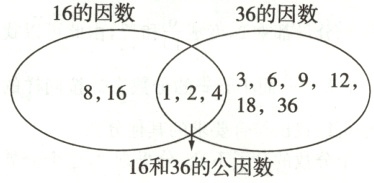 16和36的公因数