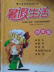 暑假生活湖南少年儿童出版社四年级综合