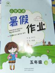 小学暑假作业五年级英语E版陕西人民教育出版社