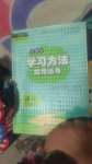 2024年新課標學習方法指導叢書三年級語文下冊人教版