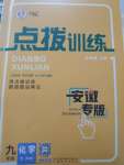 2024年點(diǎn)撥訓(xùn)練九年級化學(xué)下冊人教版安徽專版