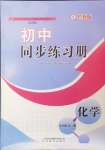 2024年同步練習冊山東教育出版社九年級化學全一冊魯教版五四制
