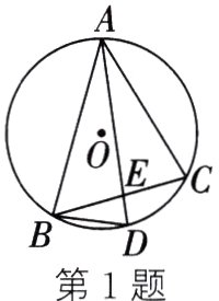第1题