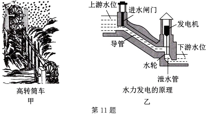 第11题