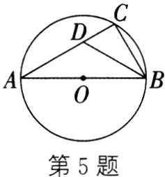 第5题