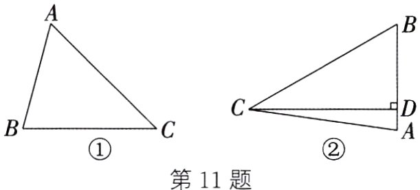 第11题
