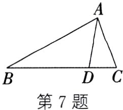 第7题