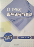 2024年自主學(xué)習(xí)指導(dǎo)課程與測試九年級化學(xué)全一冊人教版