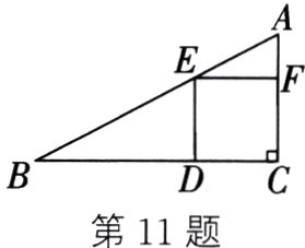 第11题