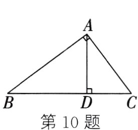 第10题