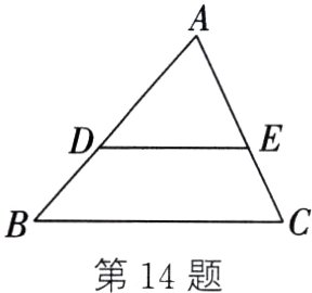 第14题