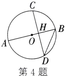 第4题