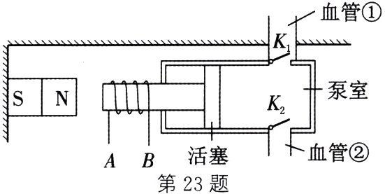 血管活塞第23题