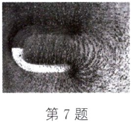 第7题