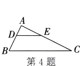 第4题