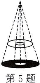 第5题