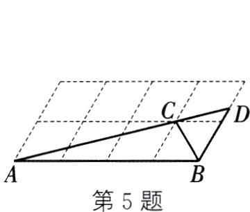 第5题