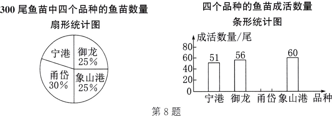 宁港御龙甬岱象山港品种第8题