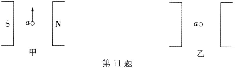 第11题