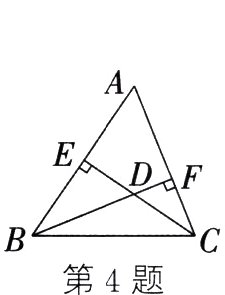 第4题