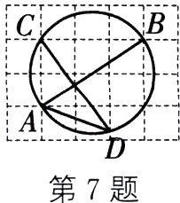 D第7题