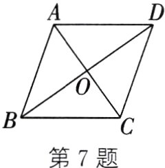 第7题