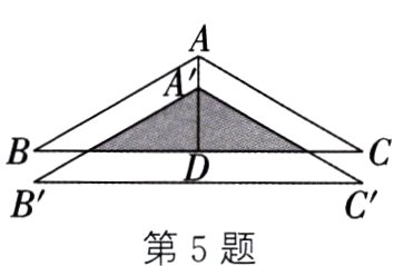 C丶第5题