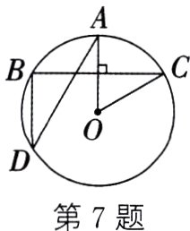 第7题