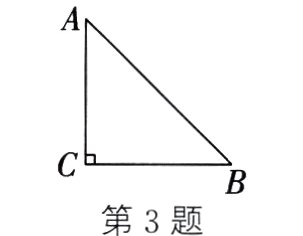 第3题
