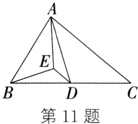 第11题
