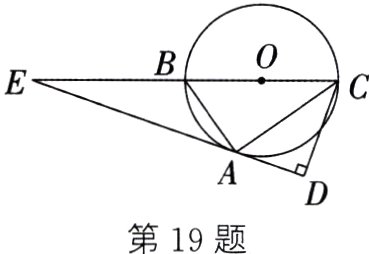 第19题