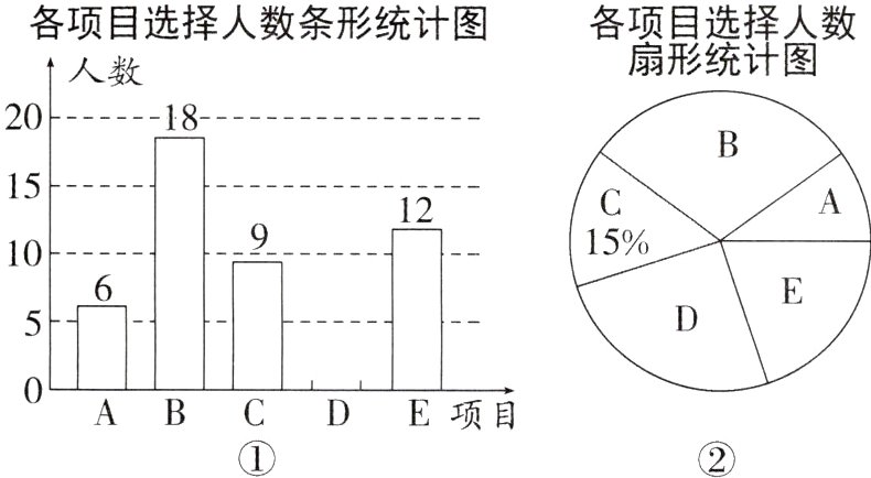 E项目