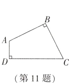 第11题