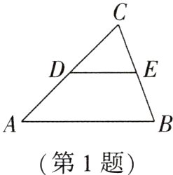 第1题