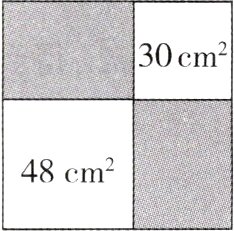 48cm