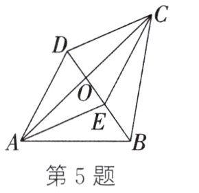 第5题