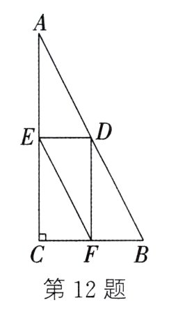 第12题