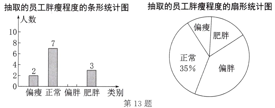 偏瘦正常偏胖肥胖类别第13题