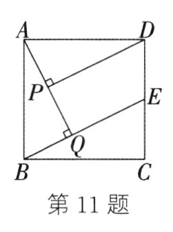 第11题