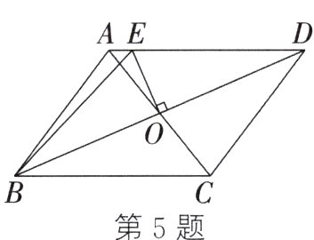 第5题