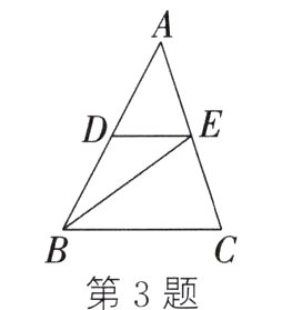 第3题