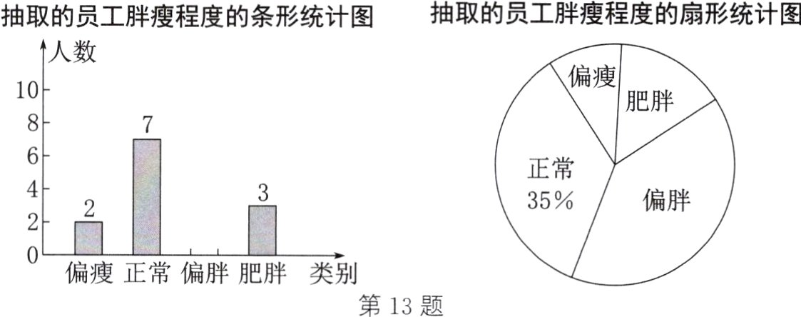 偏瘦正常偏胖肥胖类别第13题
