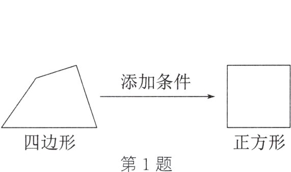 四边形正方形第1题
