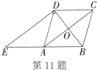 第11题