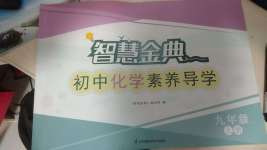 2024年歡樂校園智慧金典成長大本營九年級化學上冊人教版
