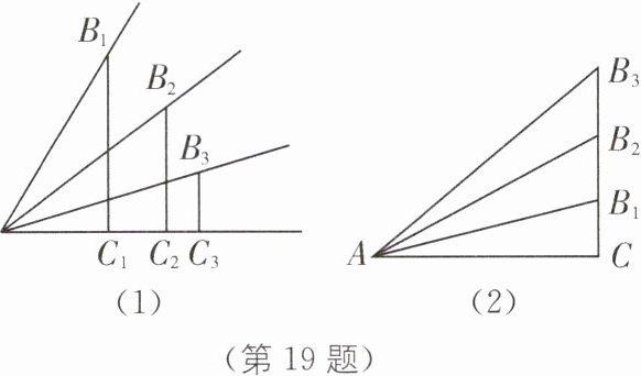 (第19题)