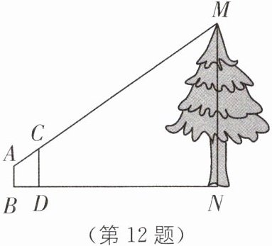 (第12题)