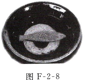 图F28