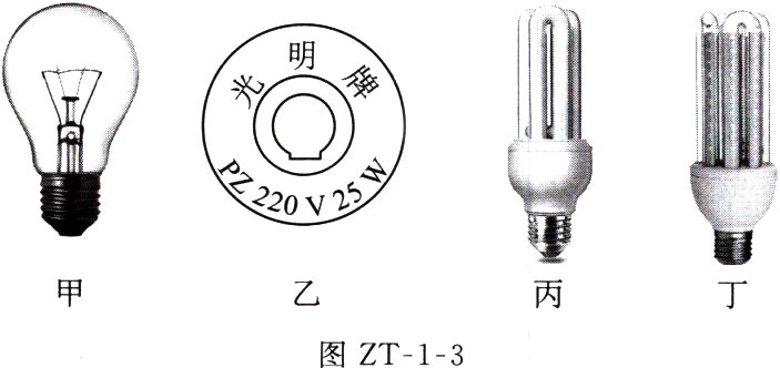 图ZT13