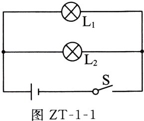 图ZT11